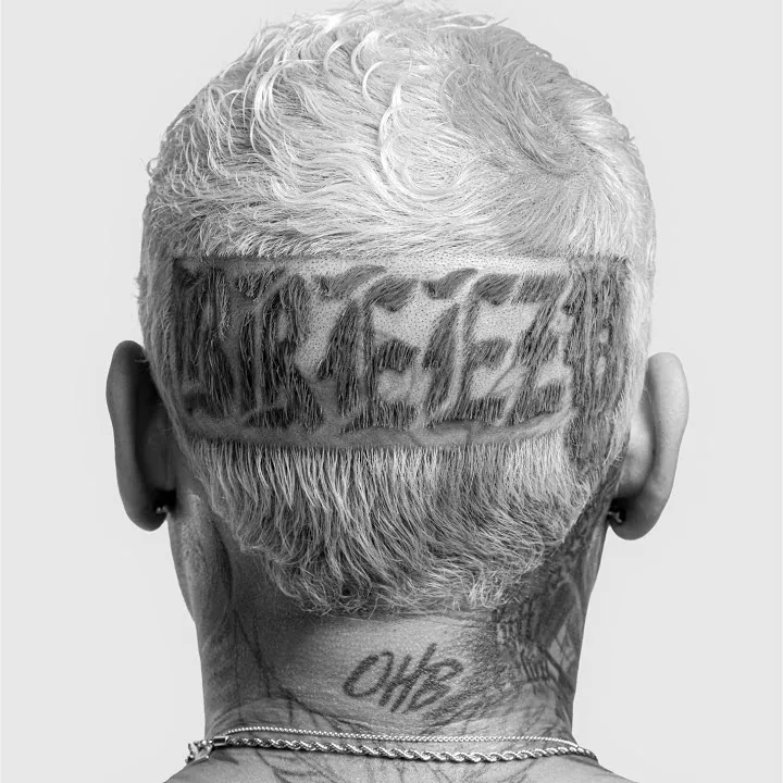 Chris Brown – C.A.B. (Catch A Body) Ft. Fivio Foreign